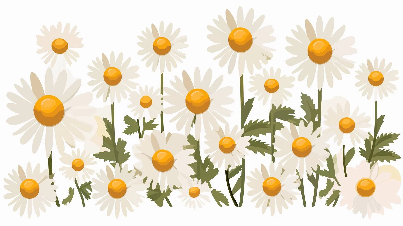 Beautiful Daisy Vector Illustration — free download from Dotvec