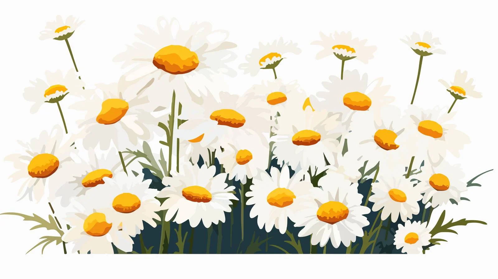 White Daisy Vector Illustration — free download from Dotvec