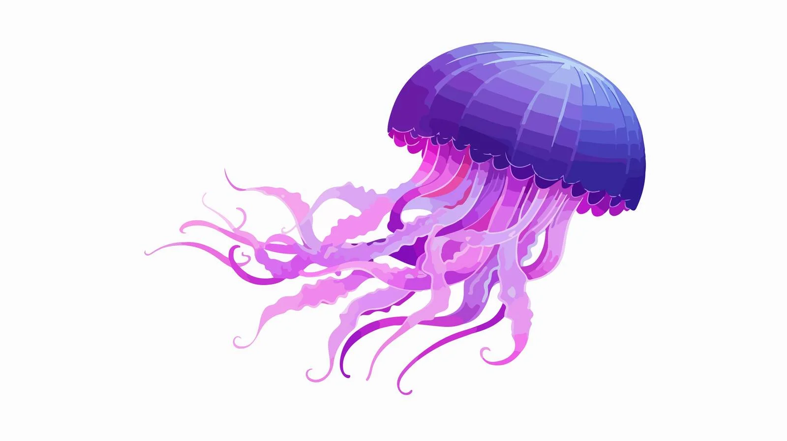 Colorful Jellyfish Cartoon Illustration in Flat Design — free download from Dotvec