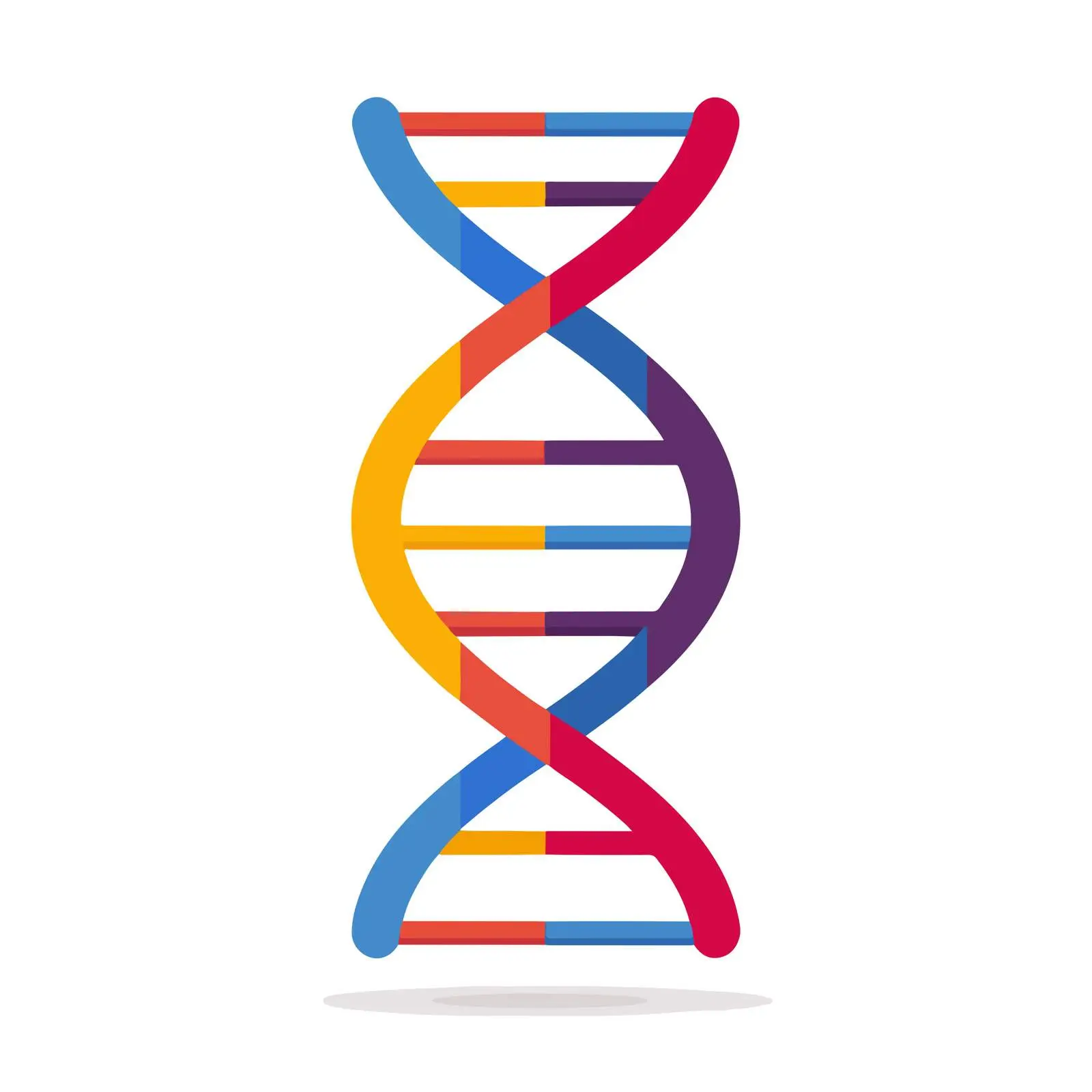 DNA Strand Vector Icon — free download from Dotvec