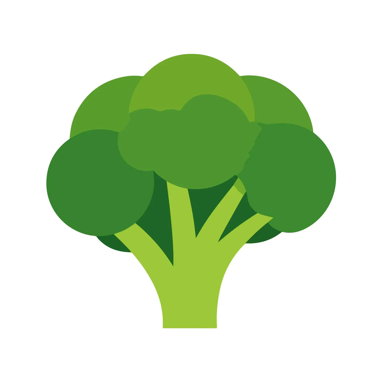 Broccoli Flat Icon — free download from Dotvec