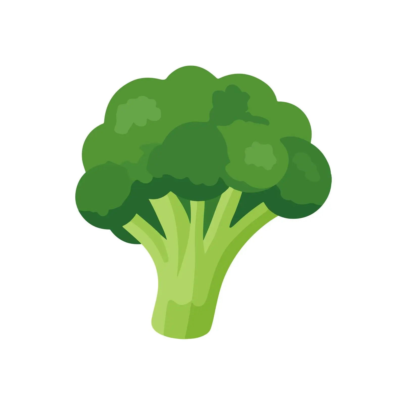 Broccoli flat vector icon — free download from Dotvec