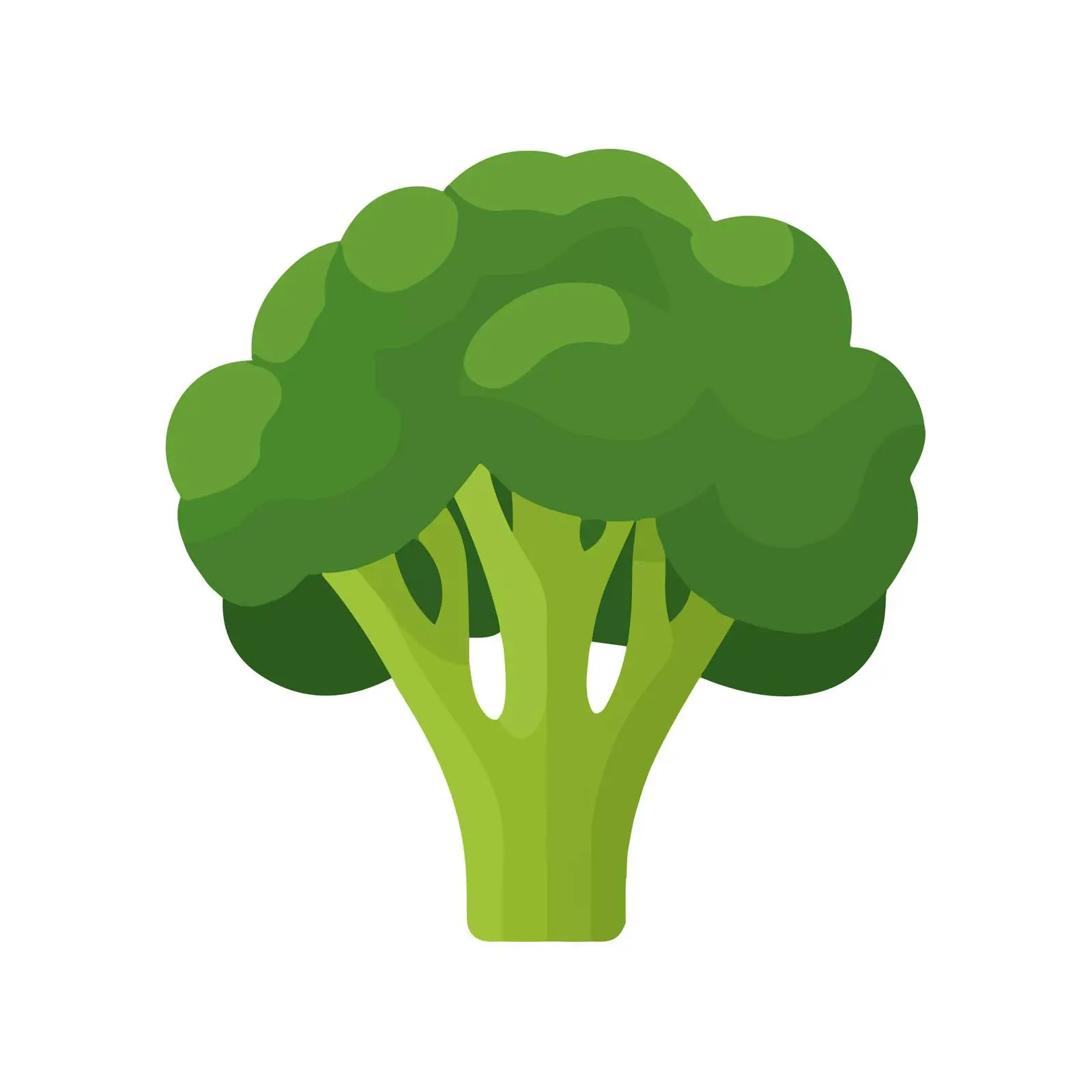 Broccoli Icon — free download from Dotvec