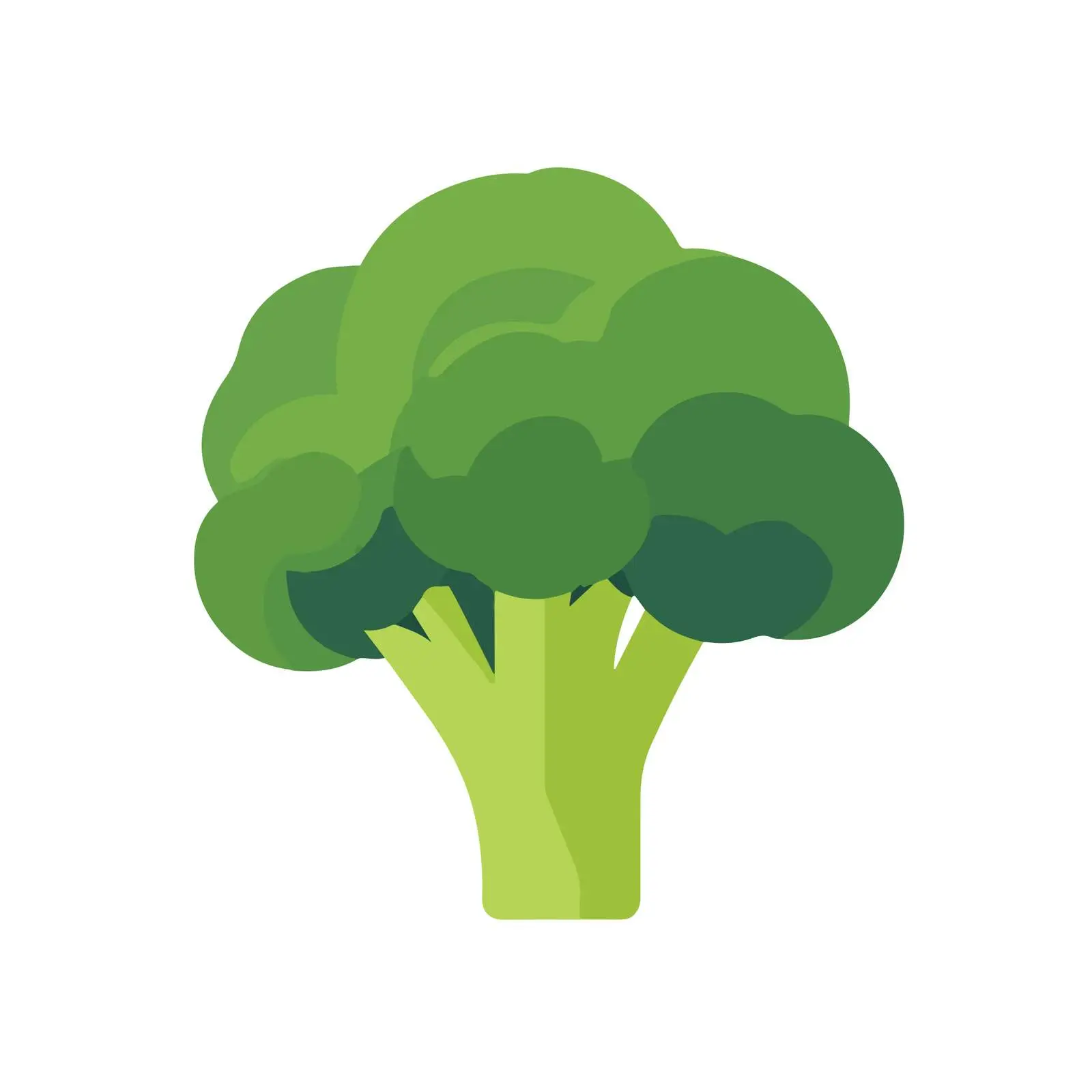 Flat Broccoli Icon - Vector Style — free download from Dotvec