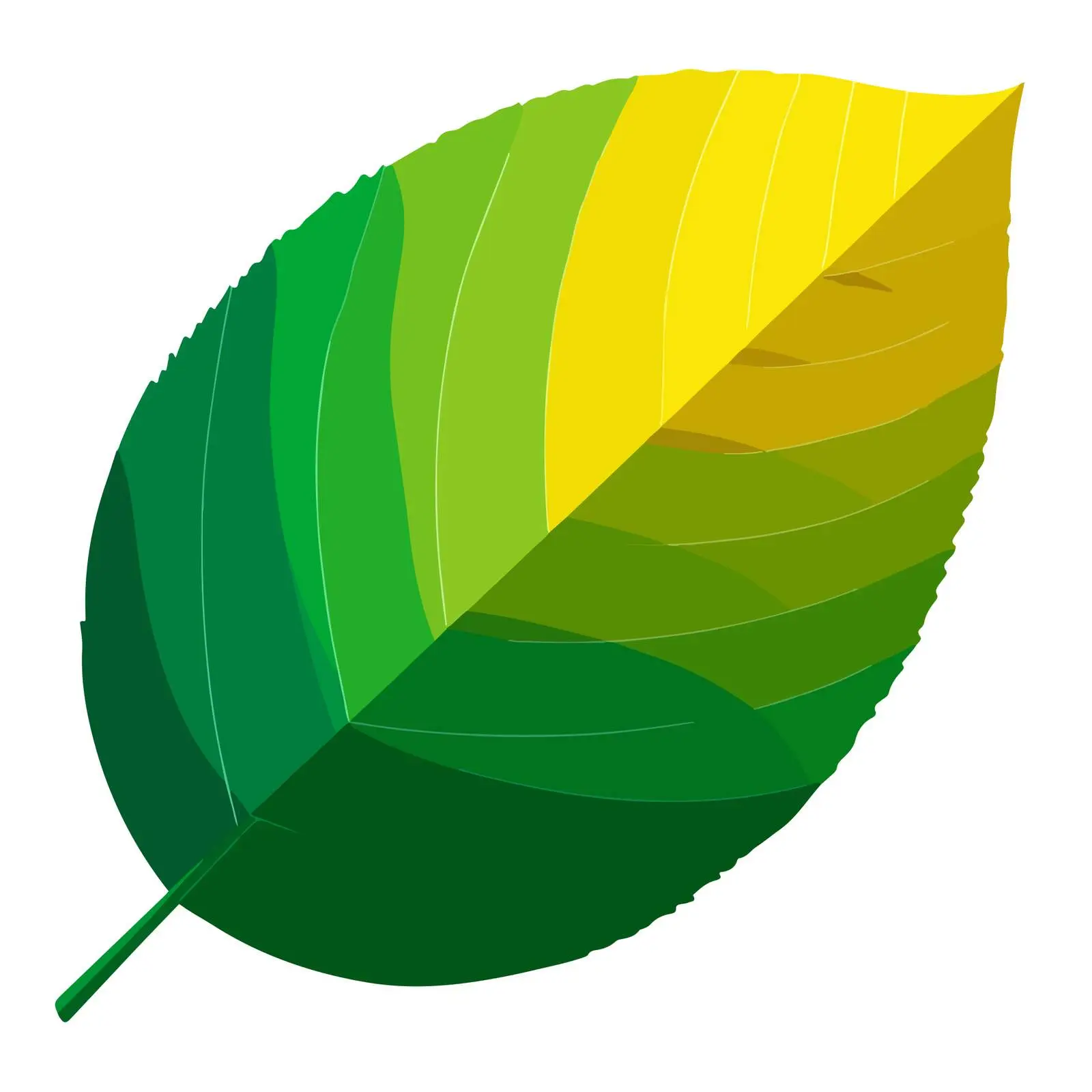 Eco-Friendly Leaf Icon — free download from Dotvec