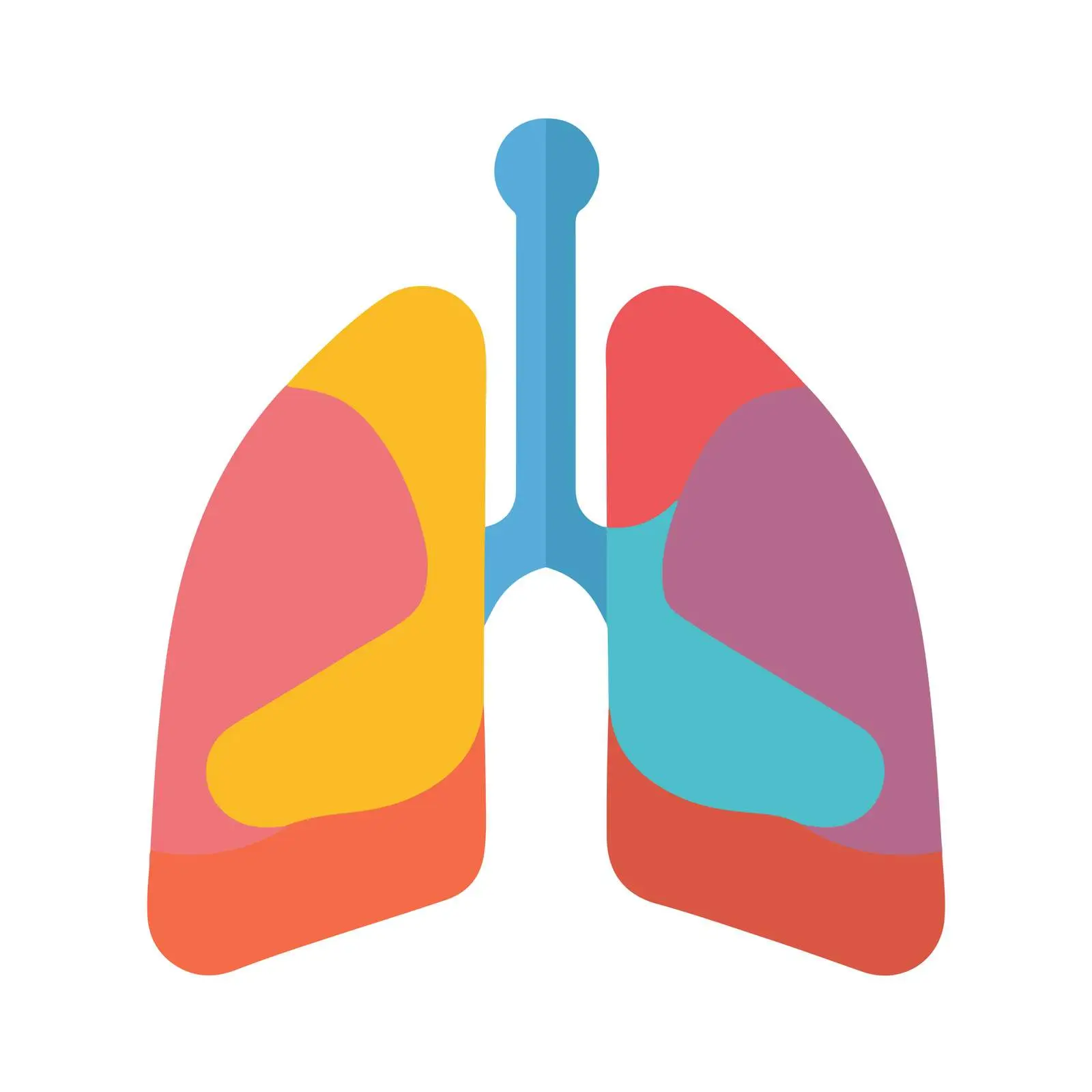Lungs Vector Icon Usage – free lungs image from Dotvec