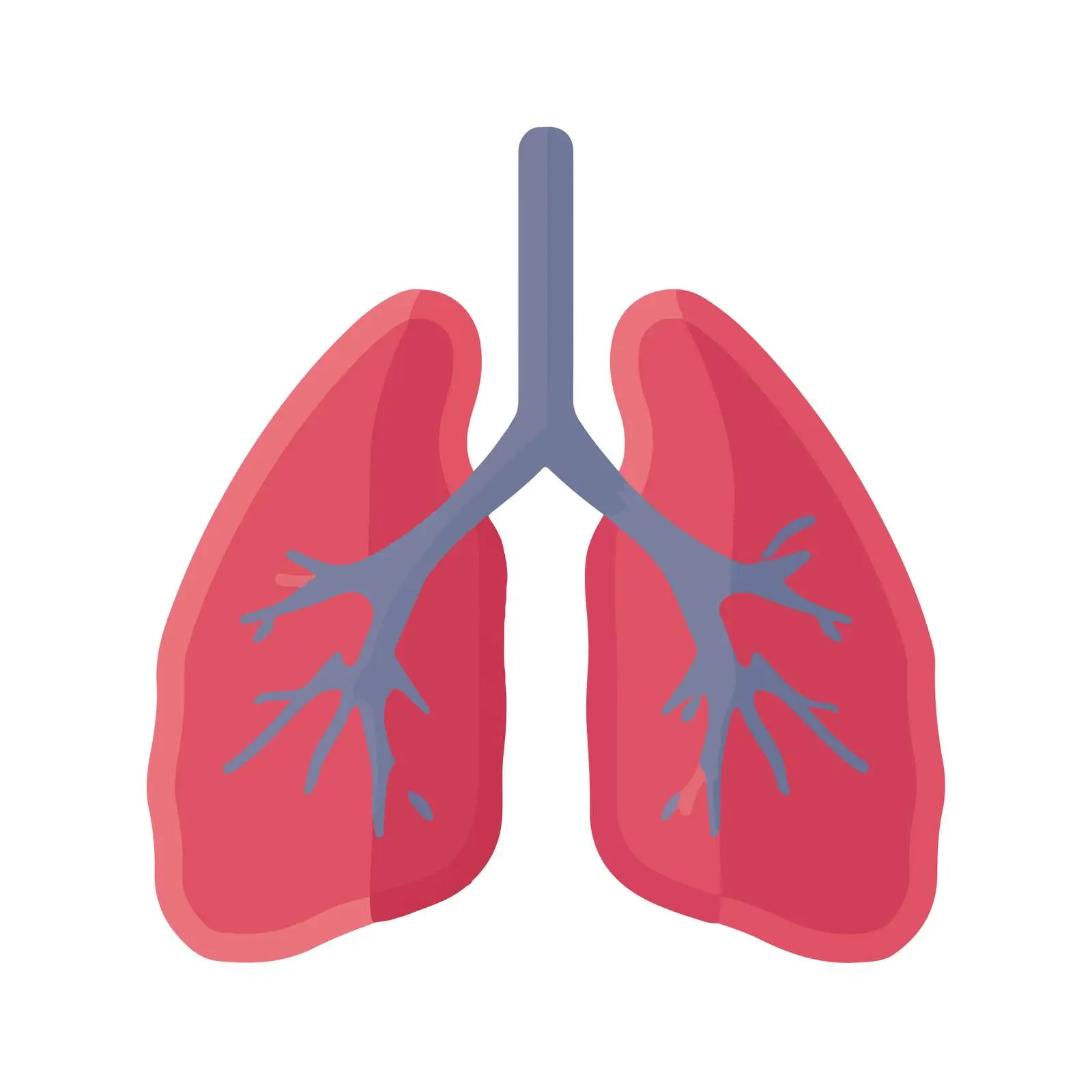 Lungs Icon — free download from Dotvec