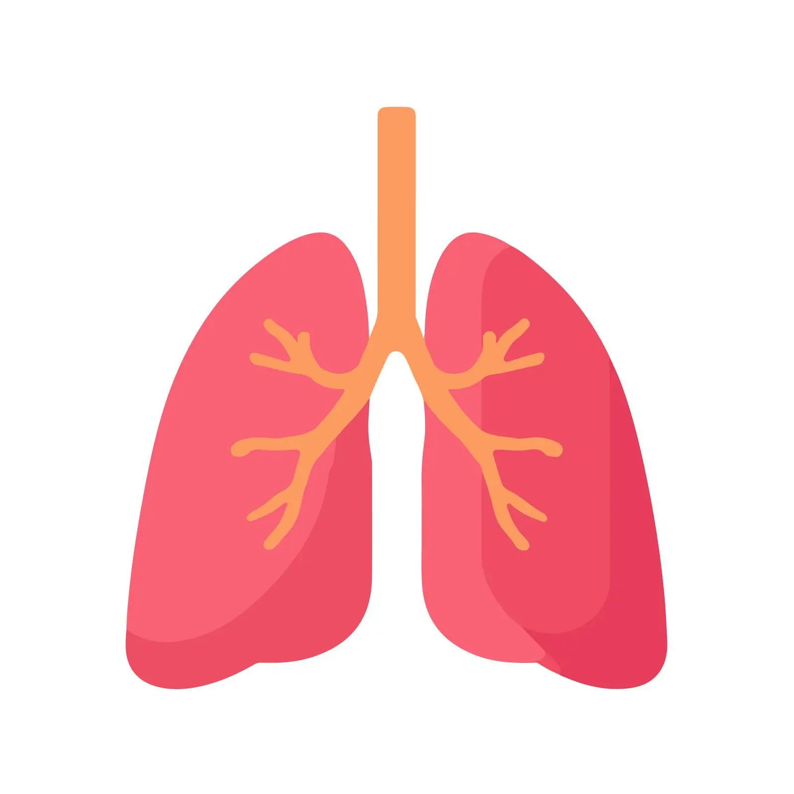 Medical Lungs Icon — free download from Dotvec