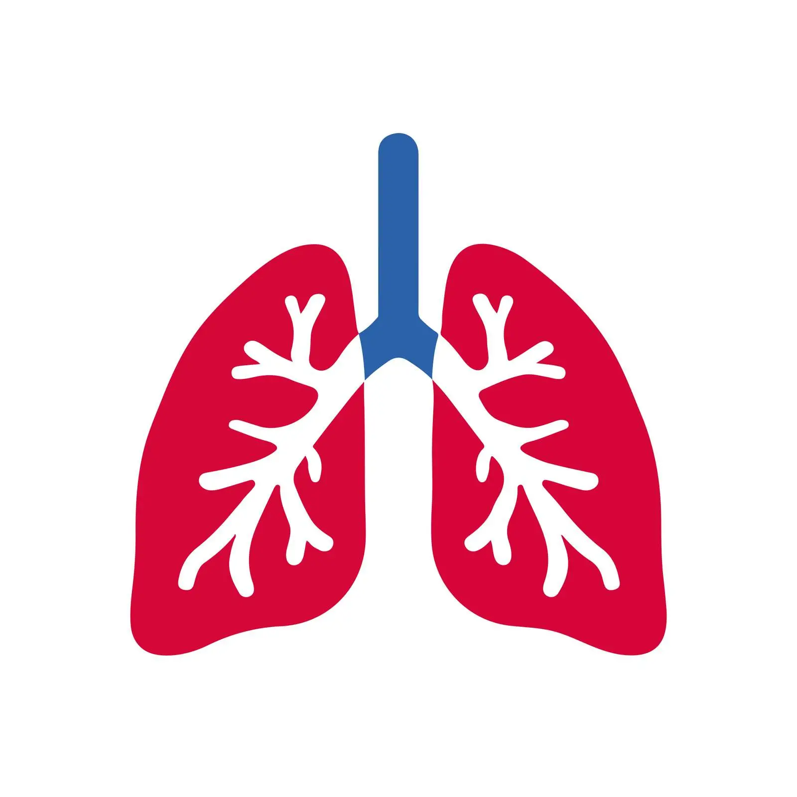 Lungs Icon for Medical Designs — free download from Dotvec
