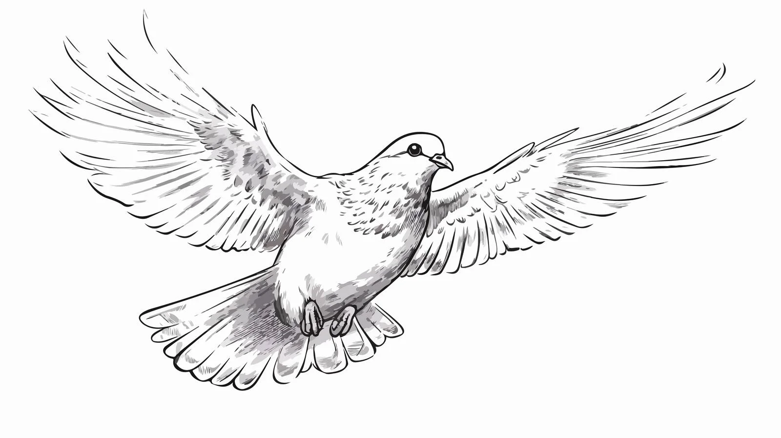 Realistic Ink Sketch of Flying Dove — free download from Dotvec