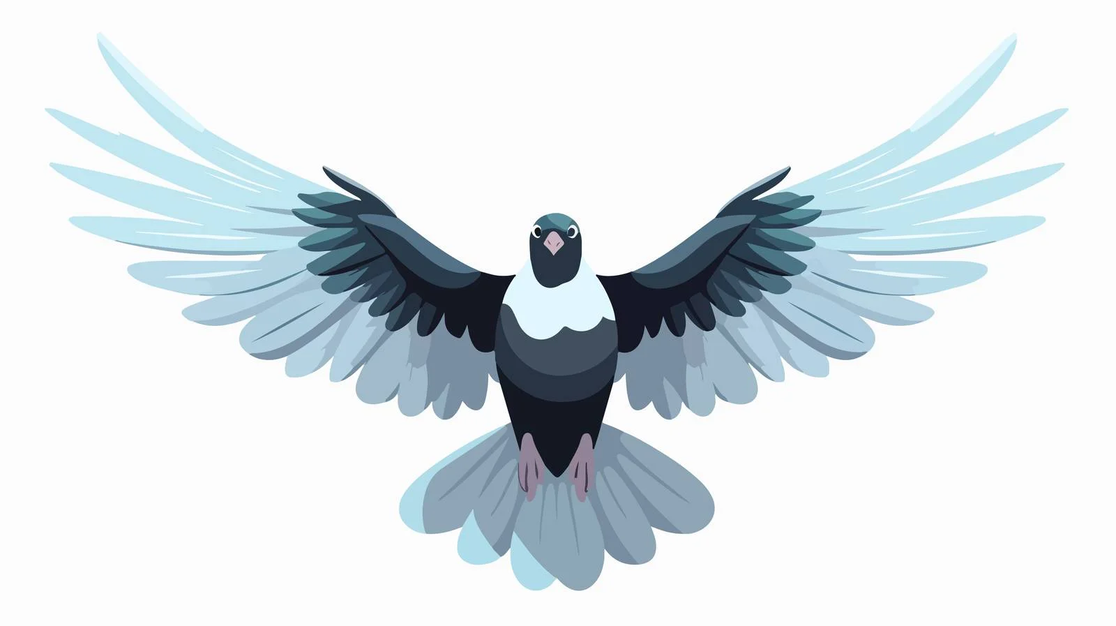 Pigeon in Flight Vector Illustration — free download from Dotvec