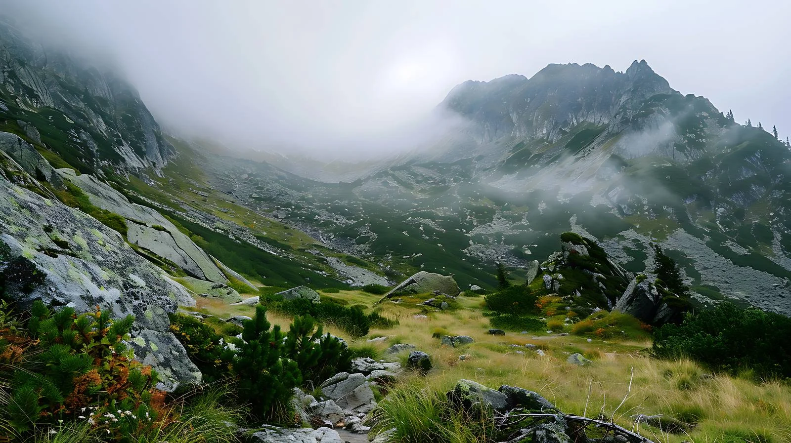 Misty Day in Polish Tatra Mountains — free download from Dotvec