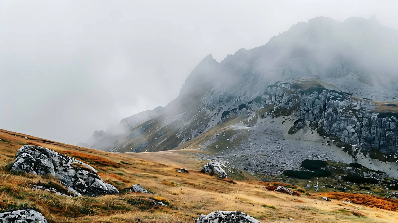 Misty Morning in Polish Tatra Mountains — free download from Dotvec