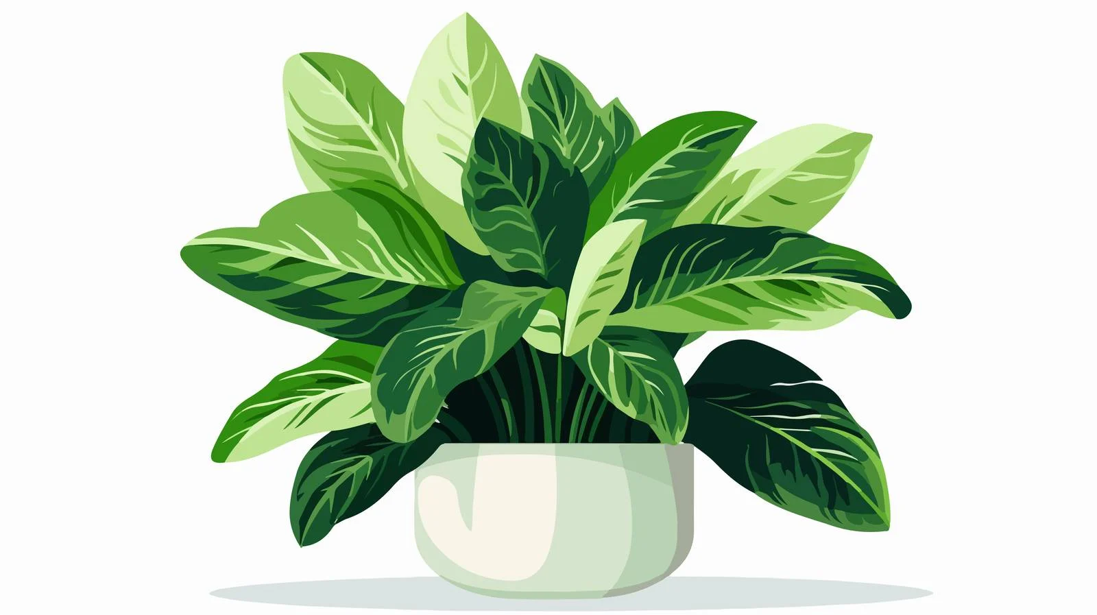 Vibrant Green Foliage Houseplant in Pot — free download from Dotvec