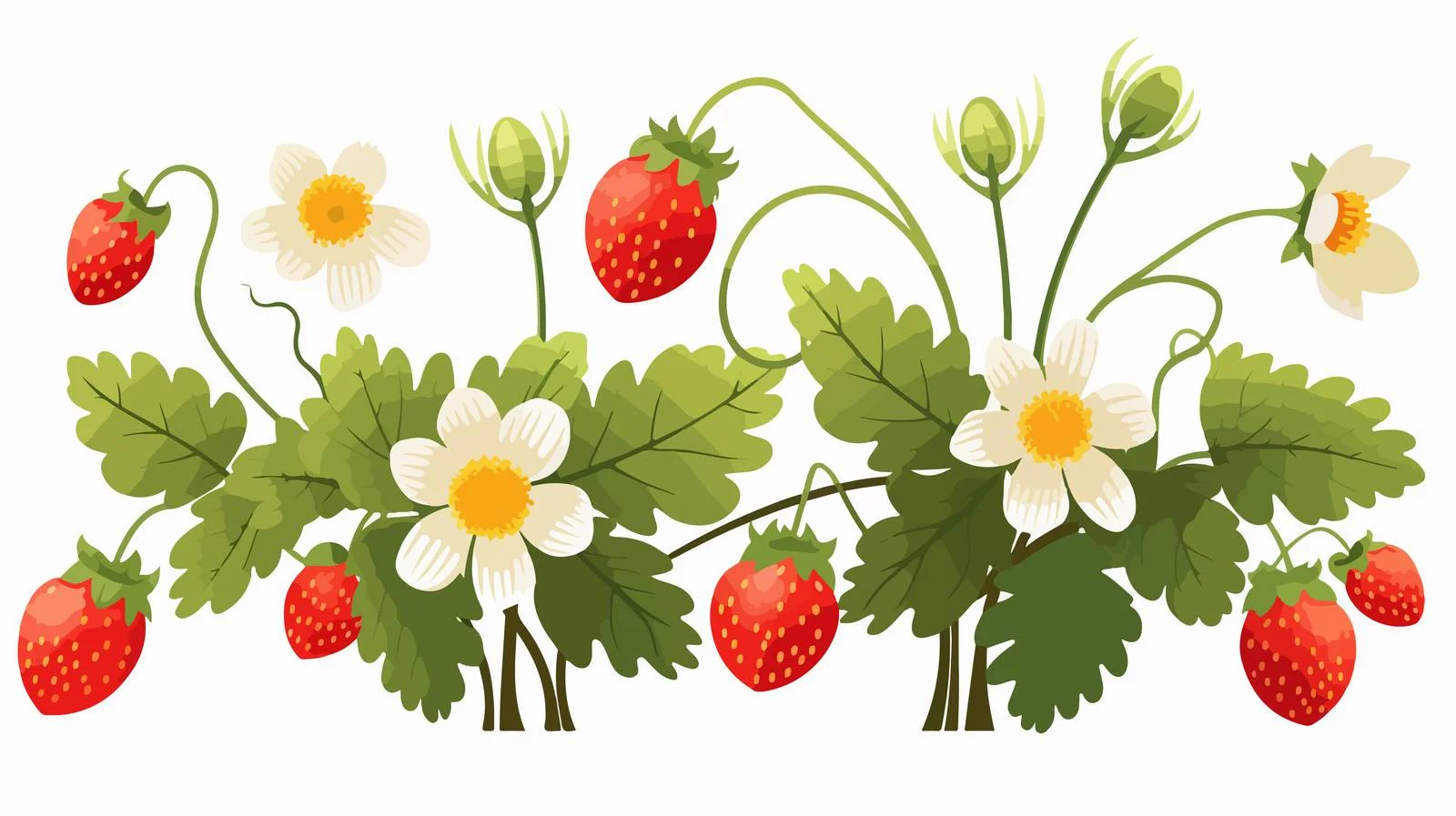 Wild Forest Strawberry Plant with Red Berries — free download from Dotvec