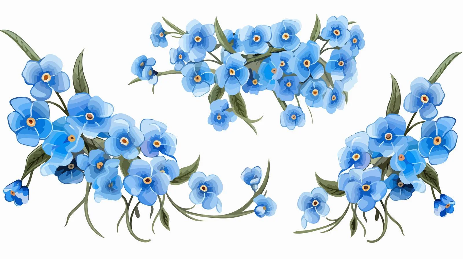 Delicate Forget-Me-Not blossoms on white background — free download from Dotvec