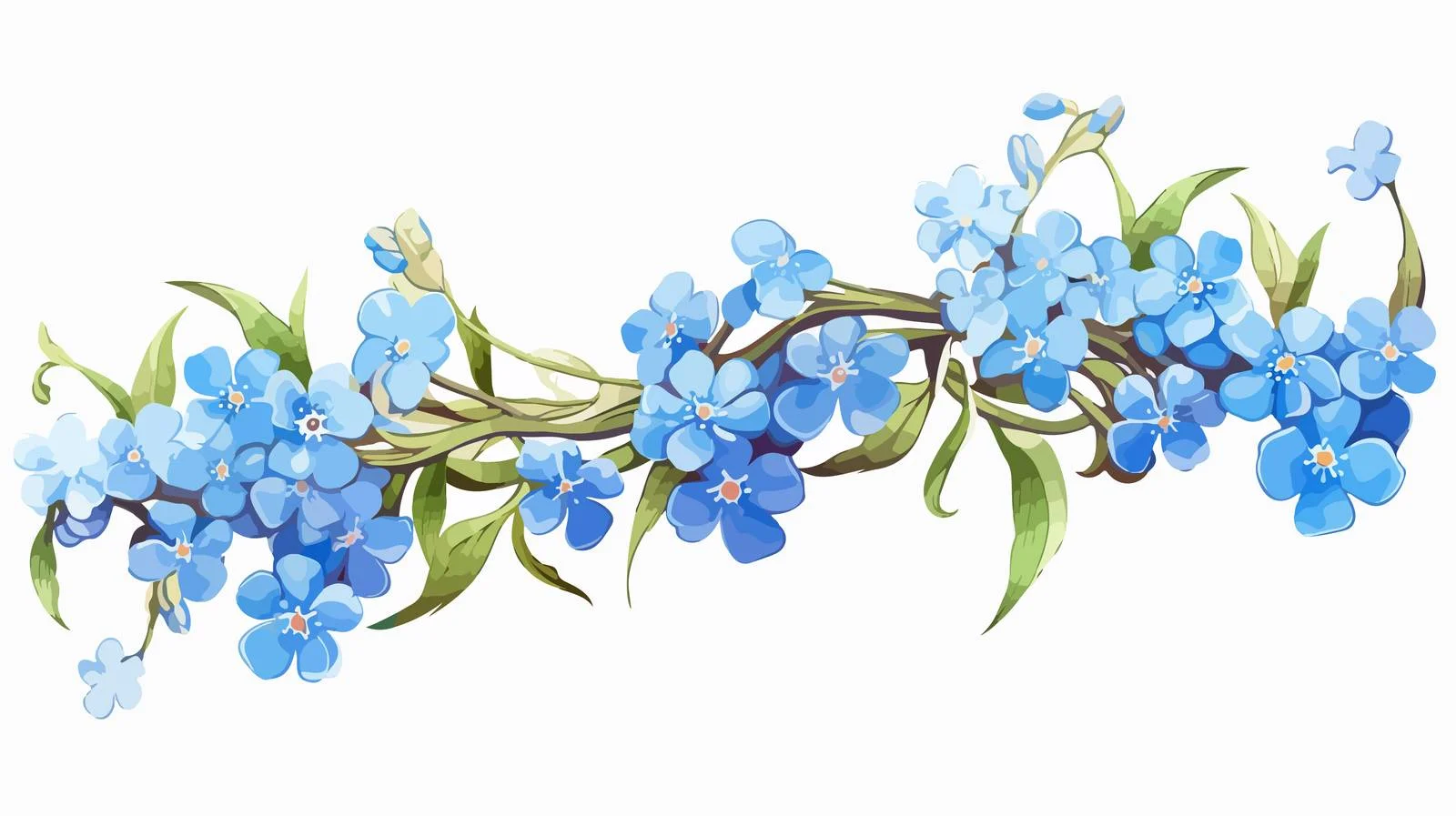 Delicate Forget-Me-Not Flowers on White — free download from Dotvec