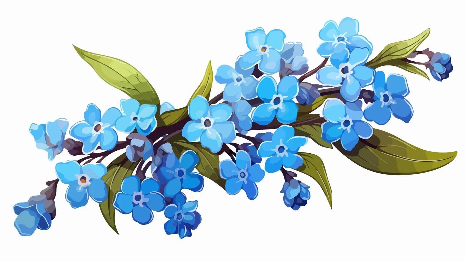Vibrant Forget-Me-Not Flowers on White — free download from Dotvec