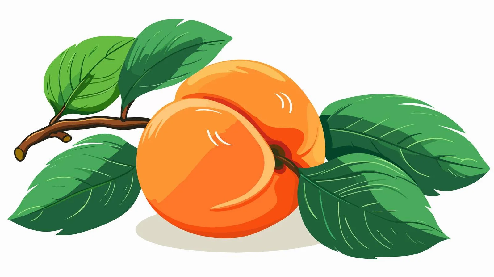 Hand-drawn Doodle Style Apricot with Leaf — free download from Dotvec