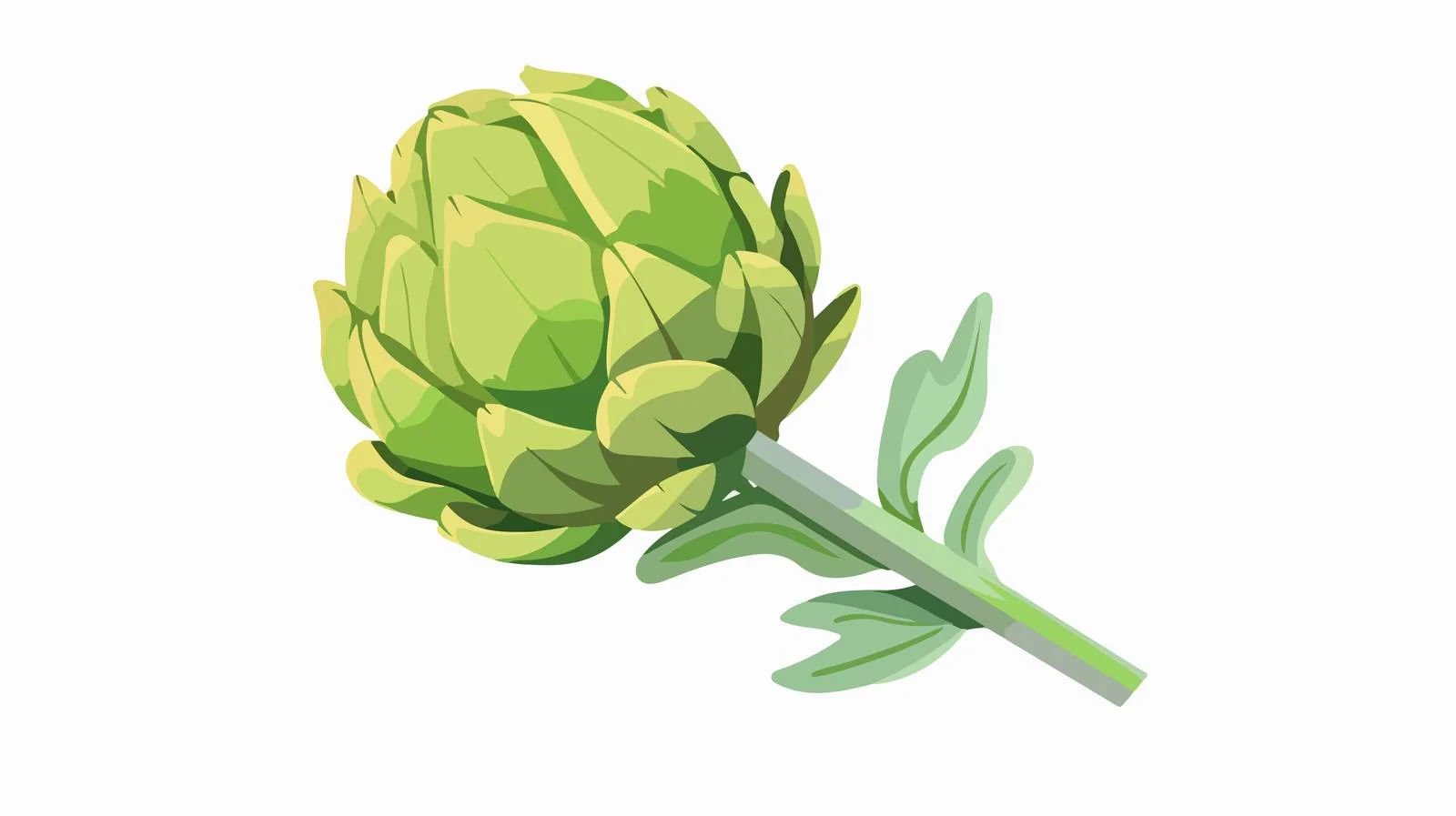 Vibrant artichoke on stem, uncooked vegetable — free download from Dotvec