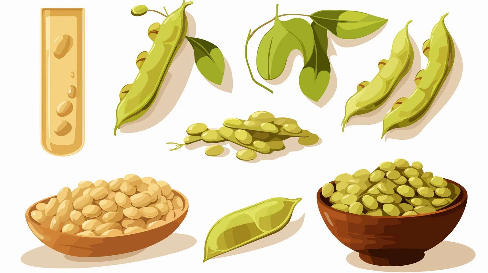 Complete Soybean Seeds Vector Illustration — free download from Dotvec