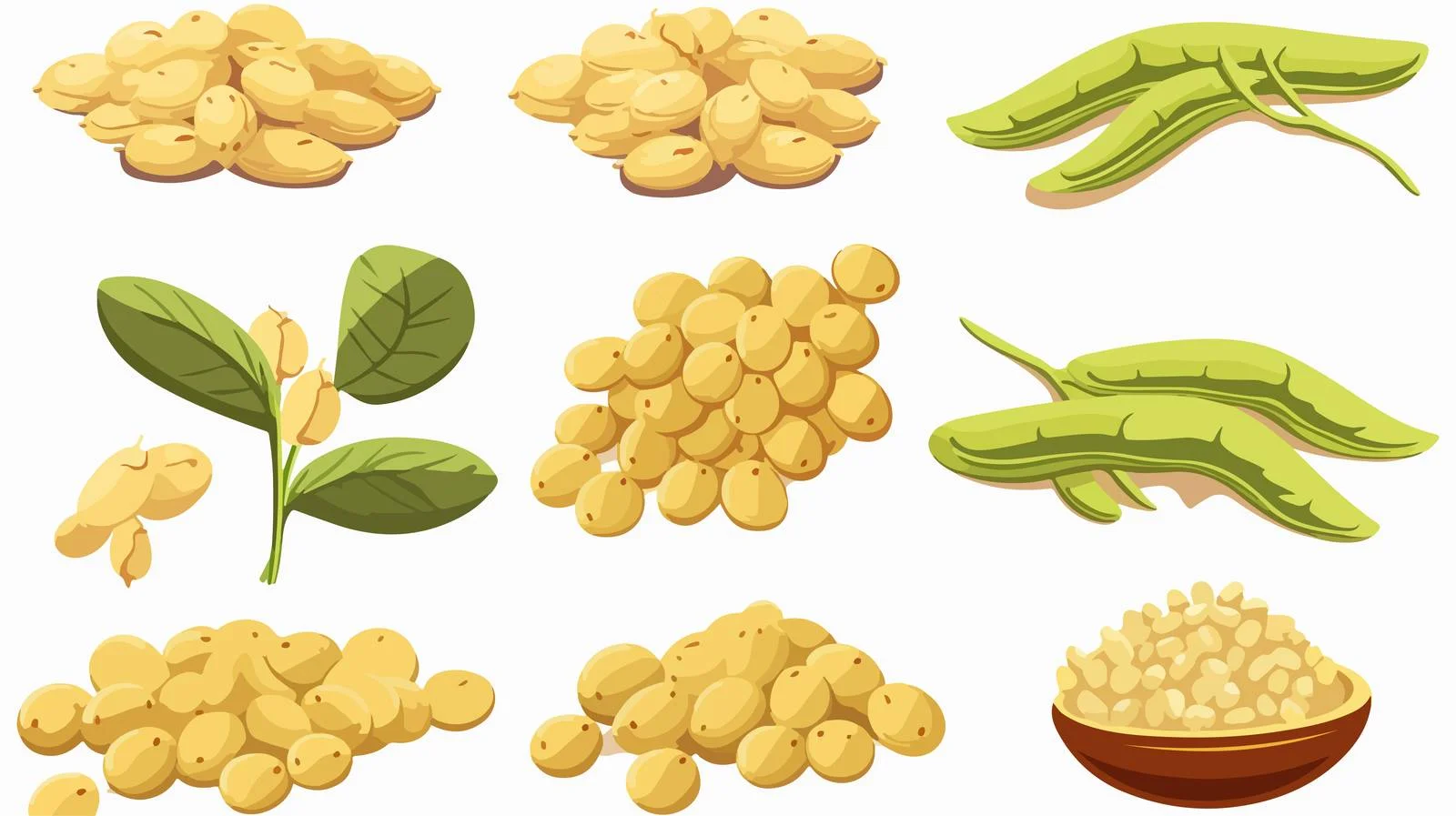Fresh Soybean Seeds Vector Illustration — free download from Dotvec