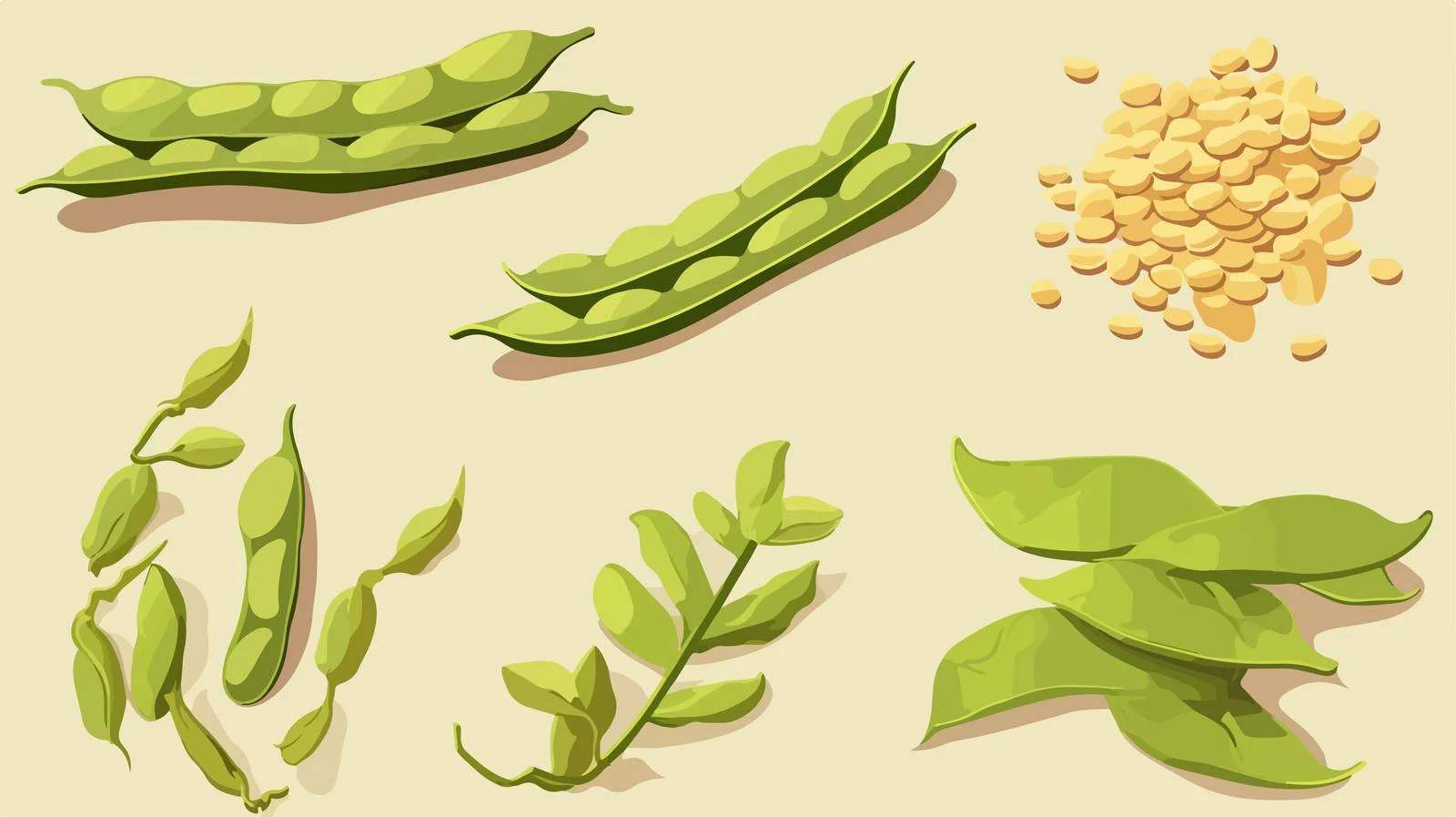Complete Soybean Seeds Vector Illustration — free download from Dotvec