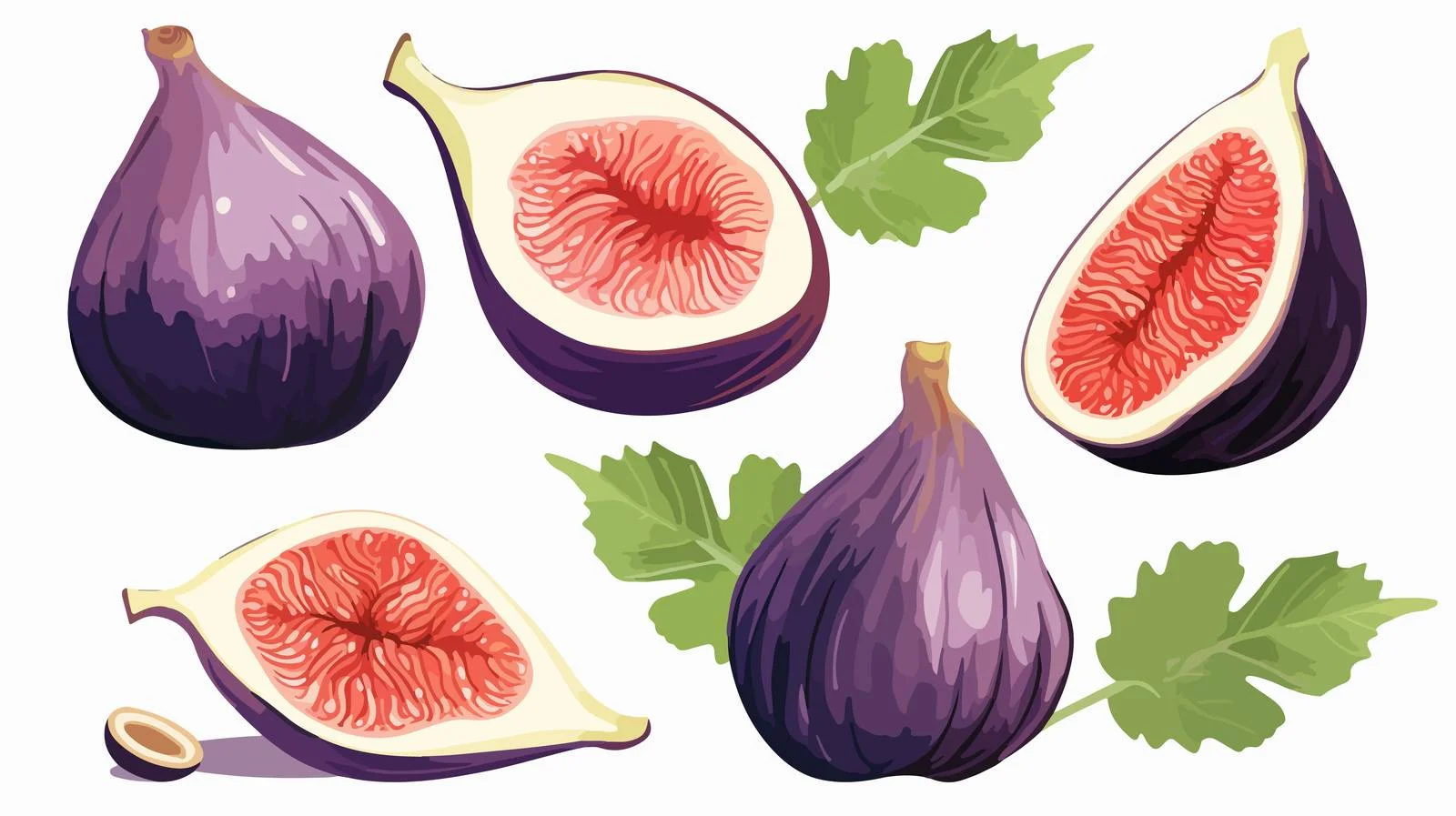 Juicy whole figs with fresh cut slices — free download from Dotvec