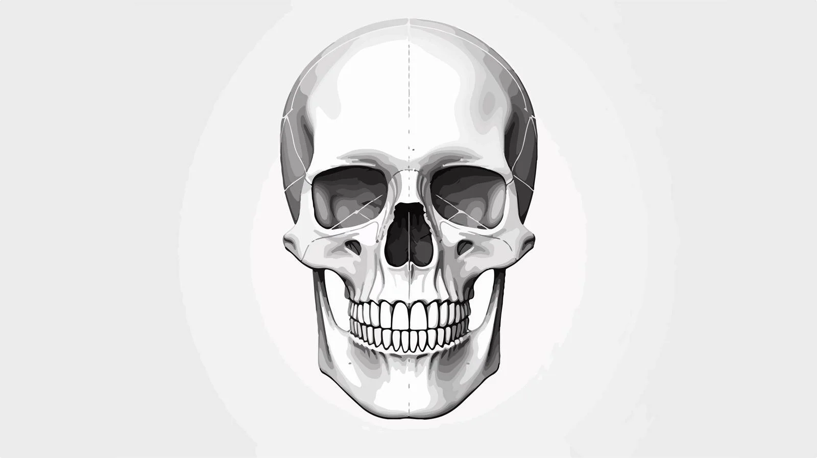 Diagnostic Frontal Skull Radiograph X-ray – free frontal image from Dotvec