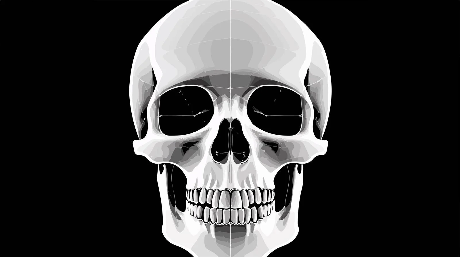 Detailed Skull X-ray Imaging Analysis — free download from Dotvec