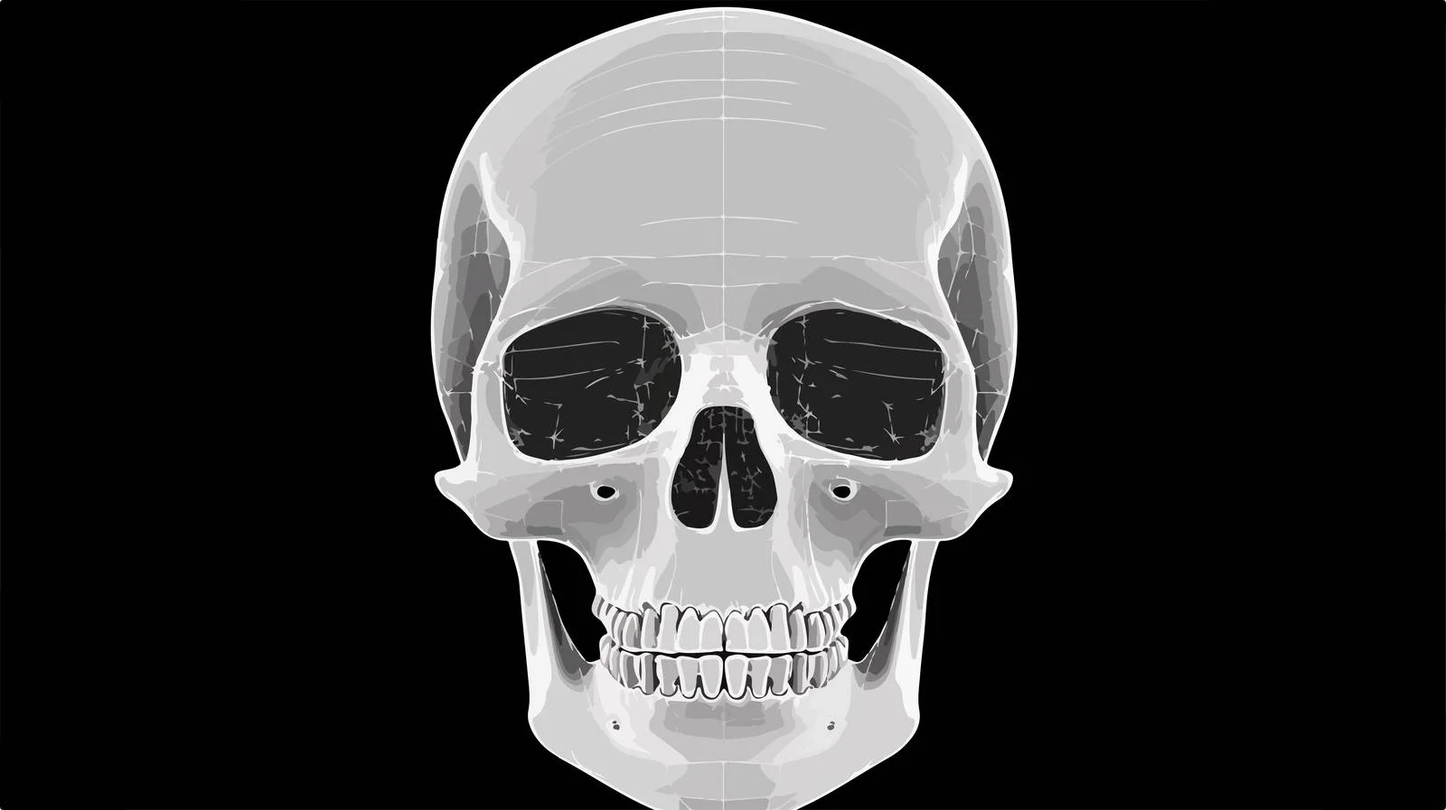 Skull X-ray Radiograph Analysis Image — free download from Dotvec