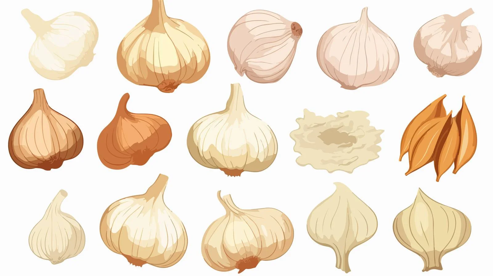 Adorable Garlic Group for Seasoning — free download from Dotvec