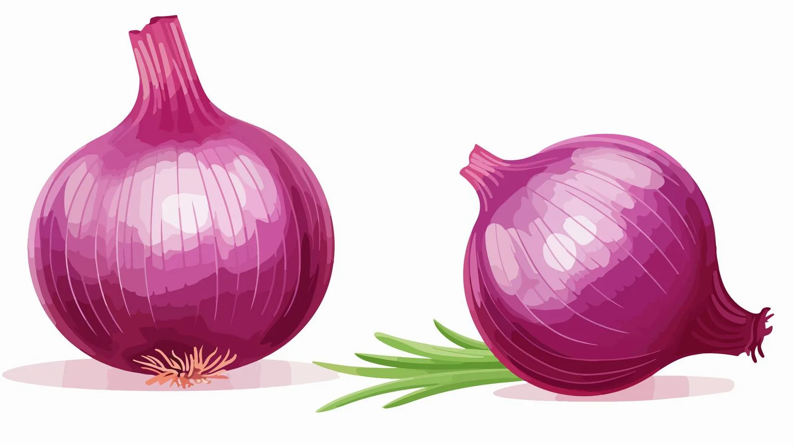 Adorable Red Purple Onion for Cooking — free download from Dotvec
