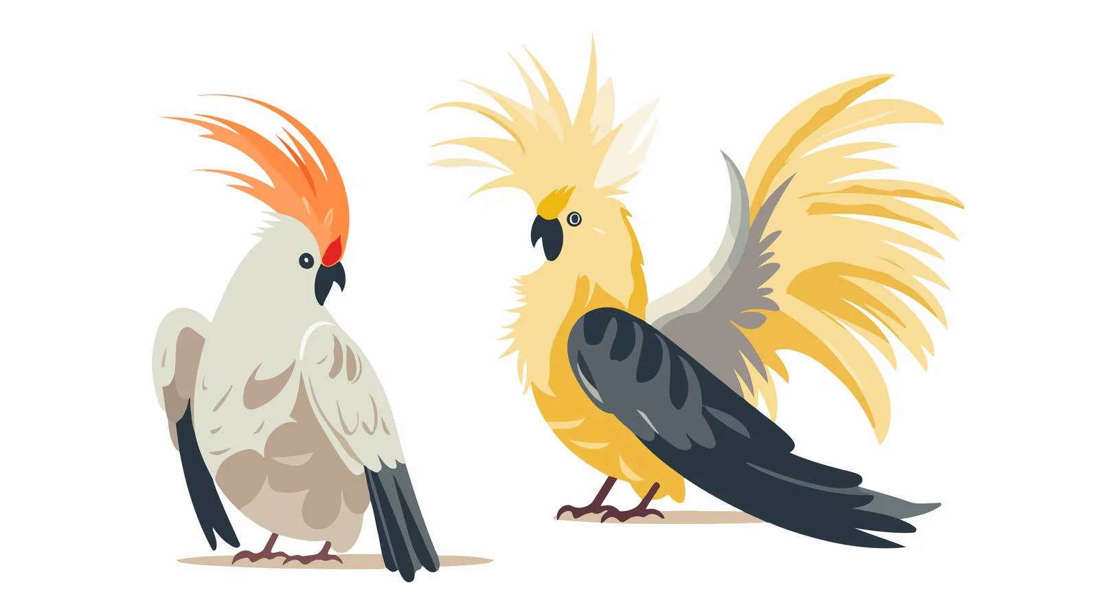 Adorable Cockatiel Grooming Its Feathers Playfully — free download from Dotvec