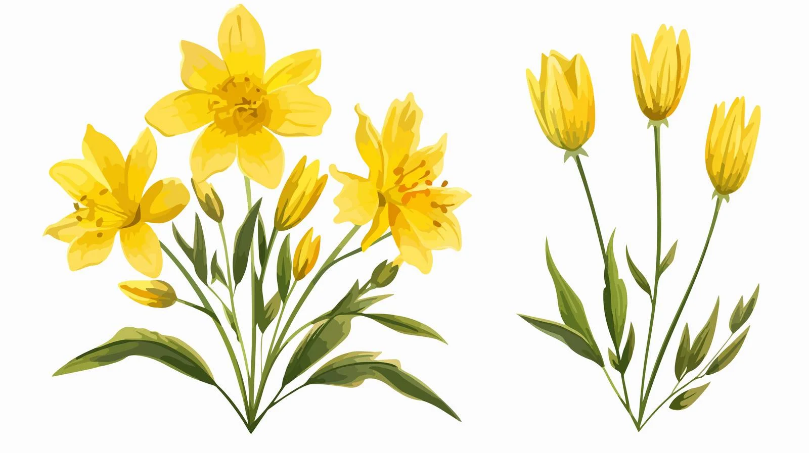 Yellow Star-of-Bethlehem Flower Close-Up — free download from Dotvec