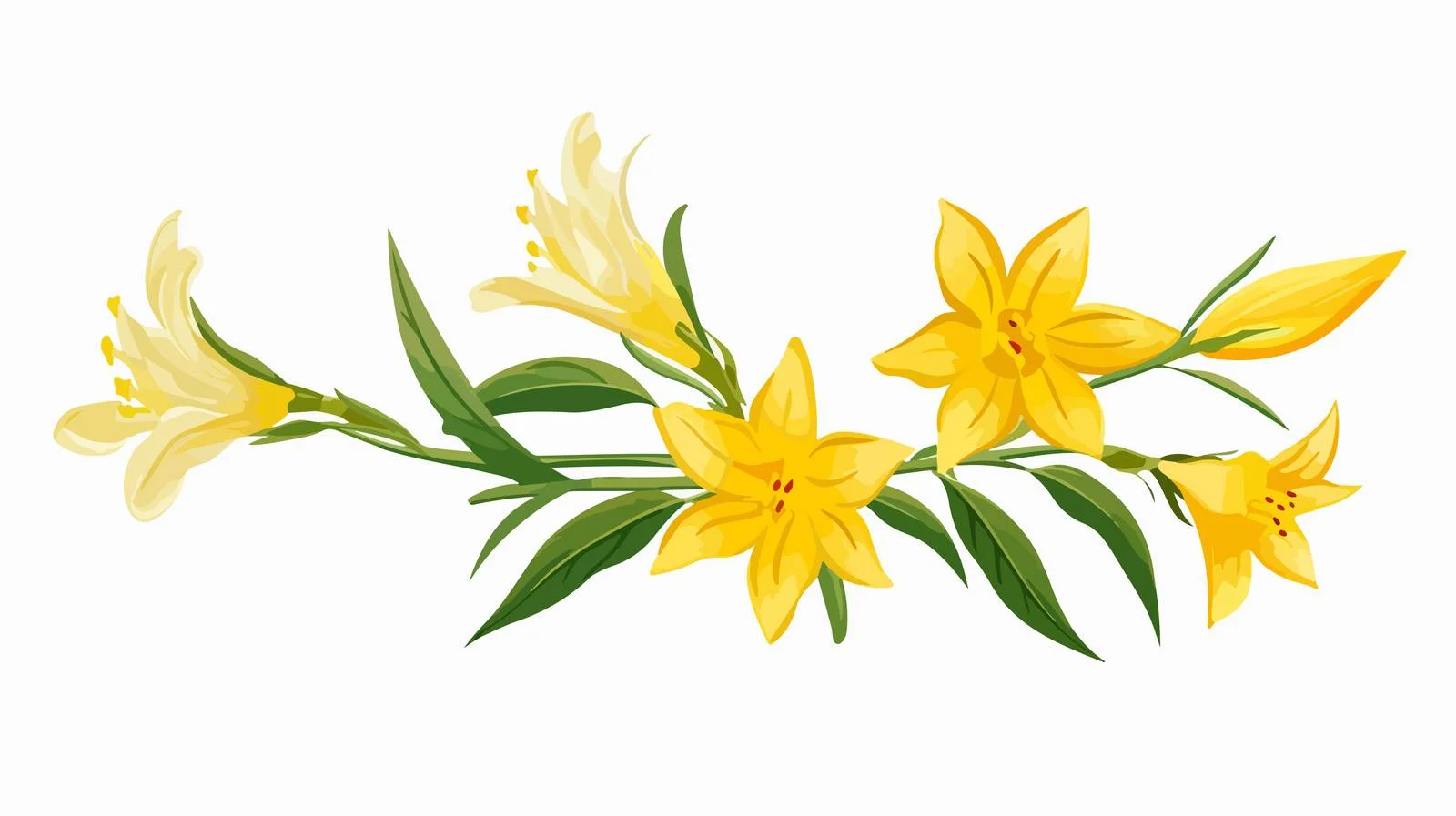 Vibrant Yellow Star-of-Bethlehem Flower Blossom — free download from Dotvec