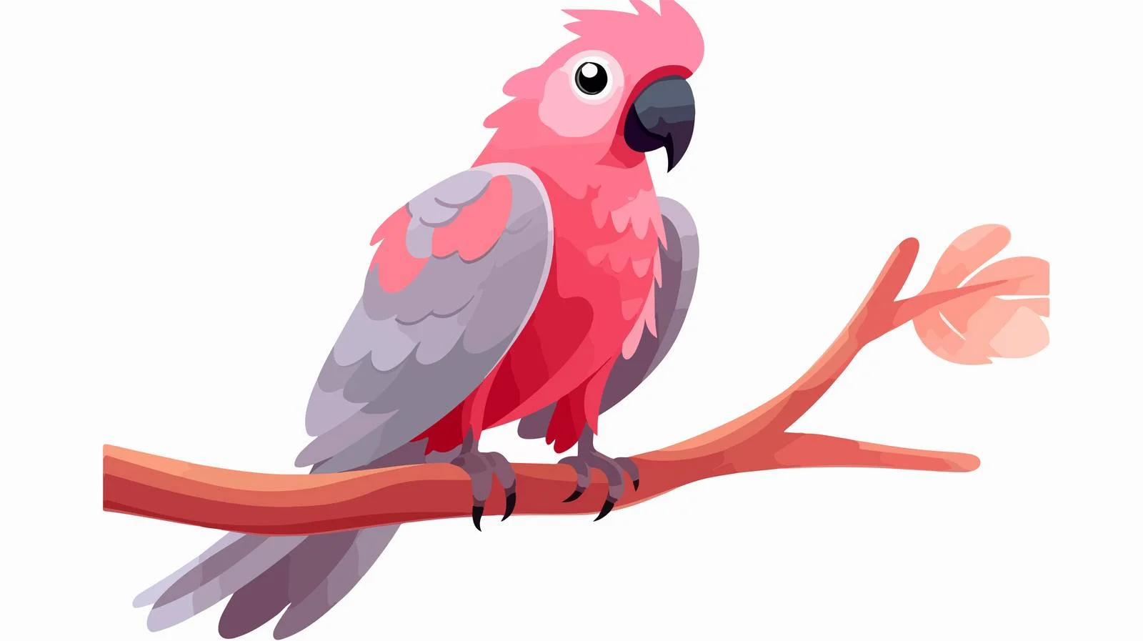 Graceful Galah: Pink and Grey Cockatoo — free download from Dotvec