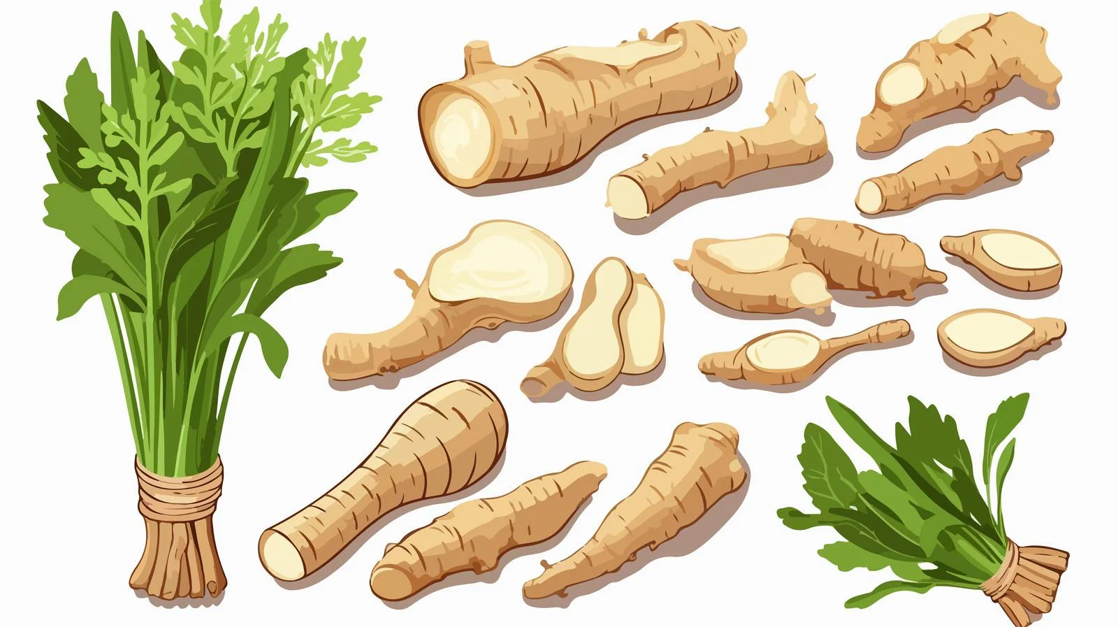 Galangal Herb Cooking Nourishment Image – free galangal image from Dotvec