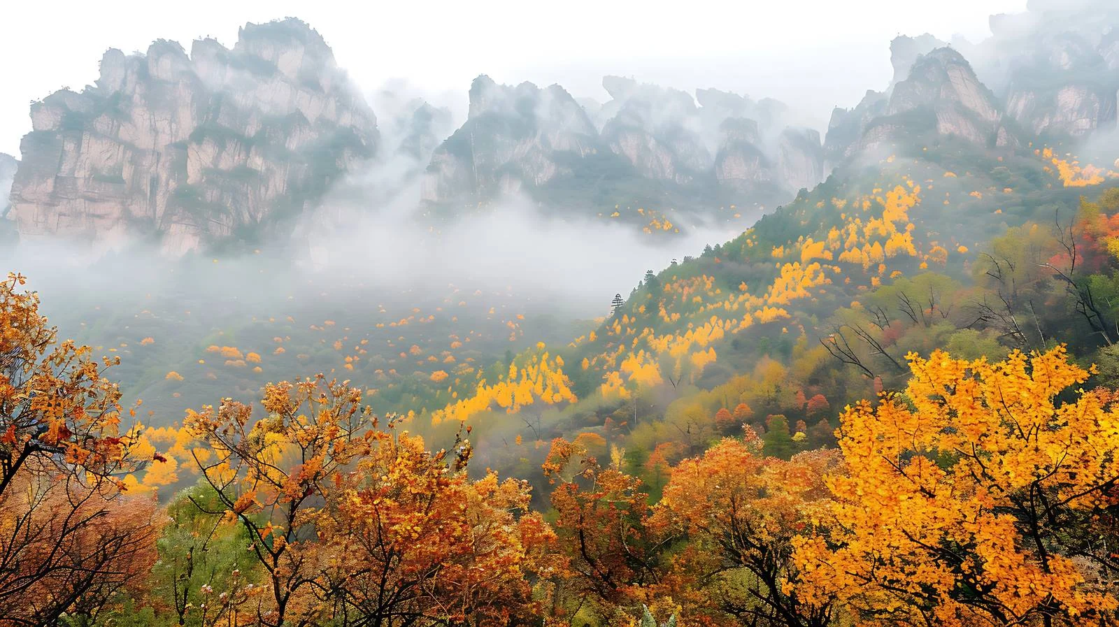 Stunning Golden Autumn Qinling Mountains Shaanxi — free download from Dotvec