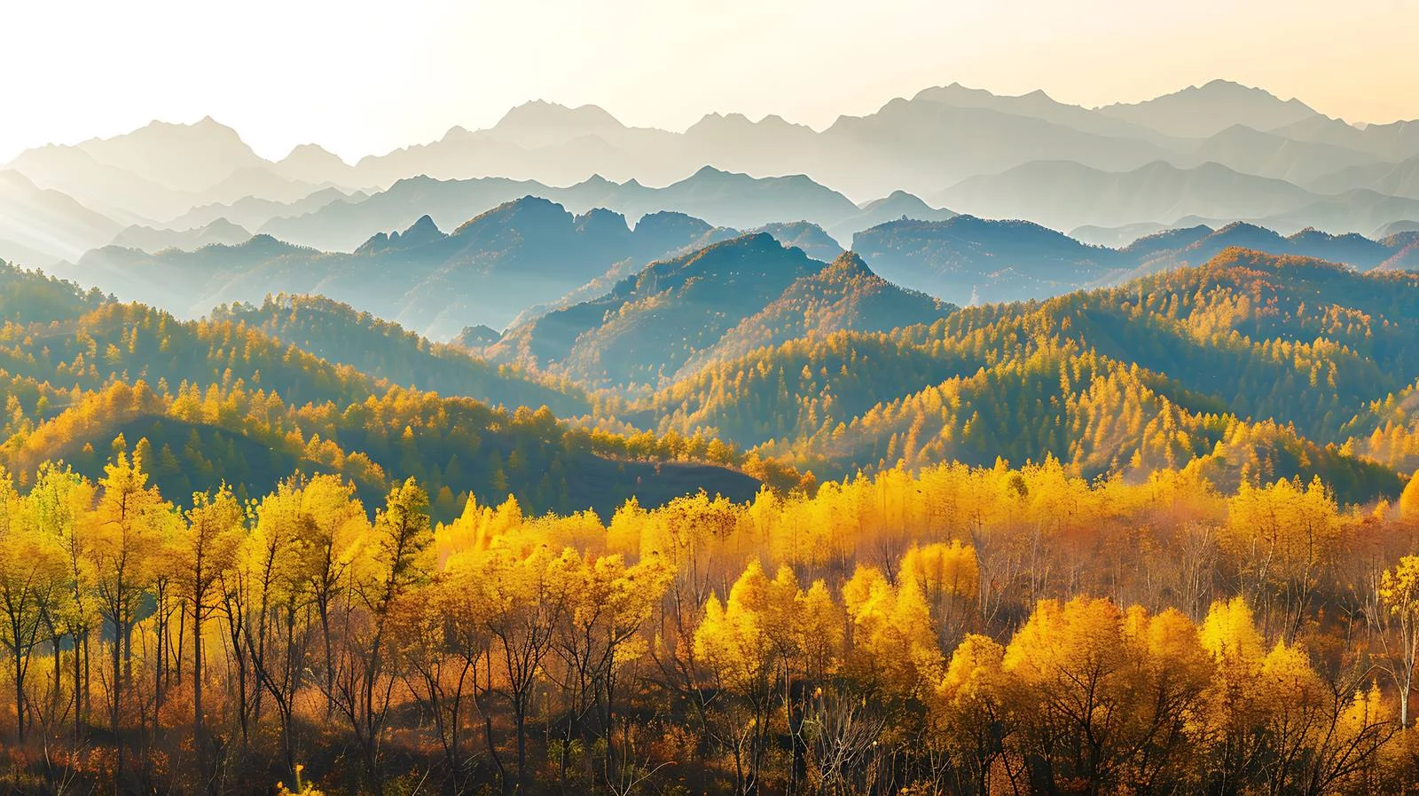 Vibrant Autumn Landscape of Qinling Mountains — free download from Dotvec