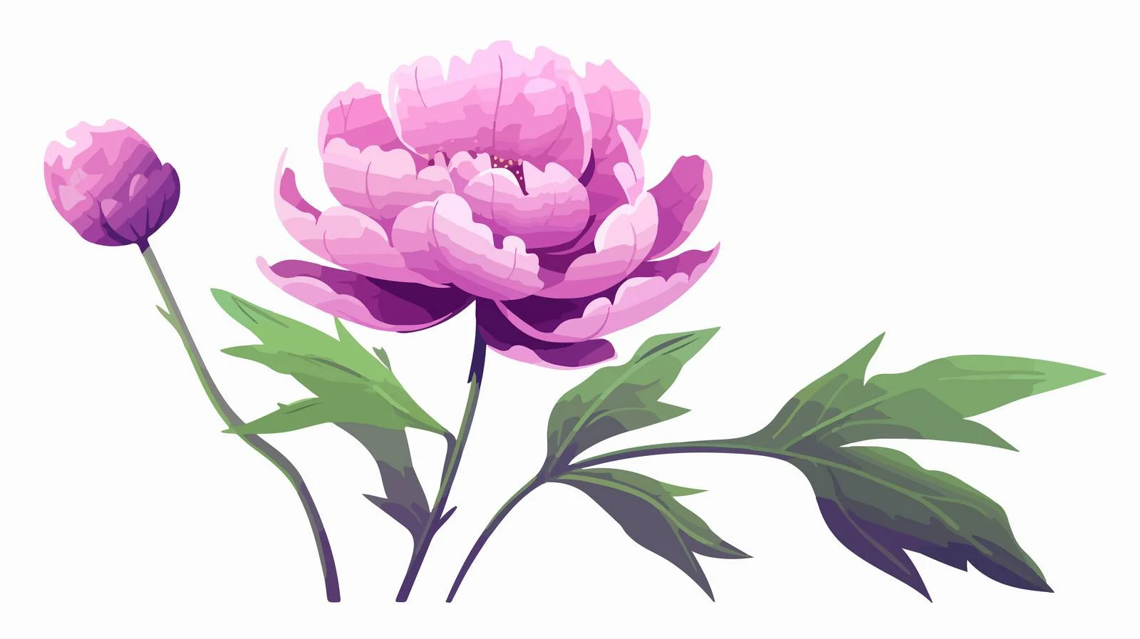 Exquisite Japanese Peony on White Background — free download from Dotvec