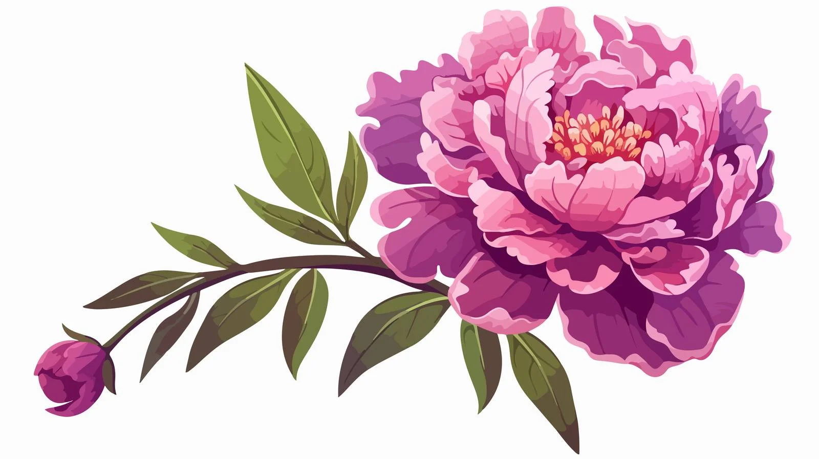 Exquisite Japanese Peony on White Background — free download from Dotvec