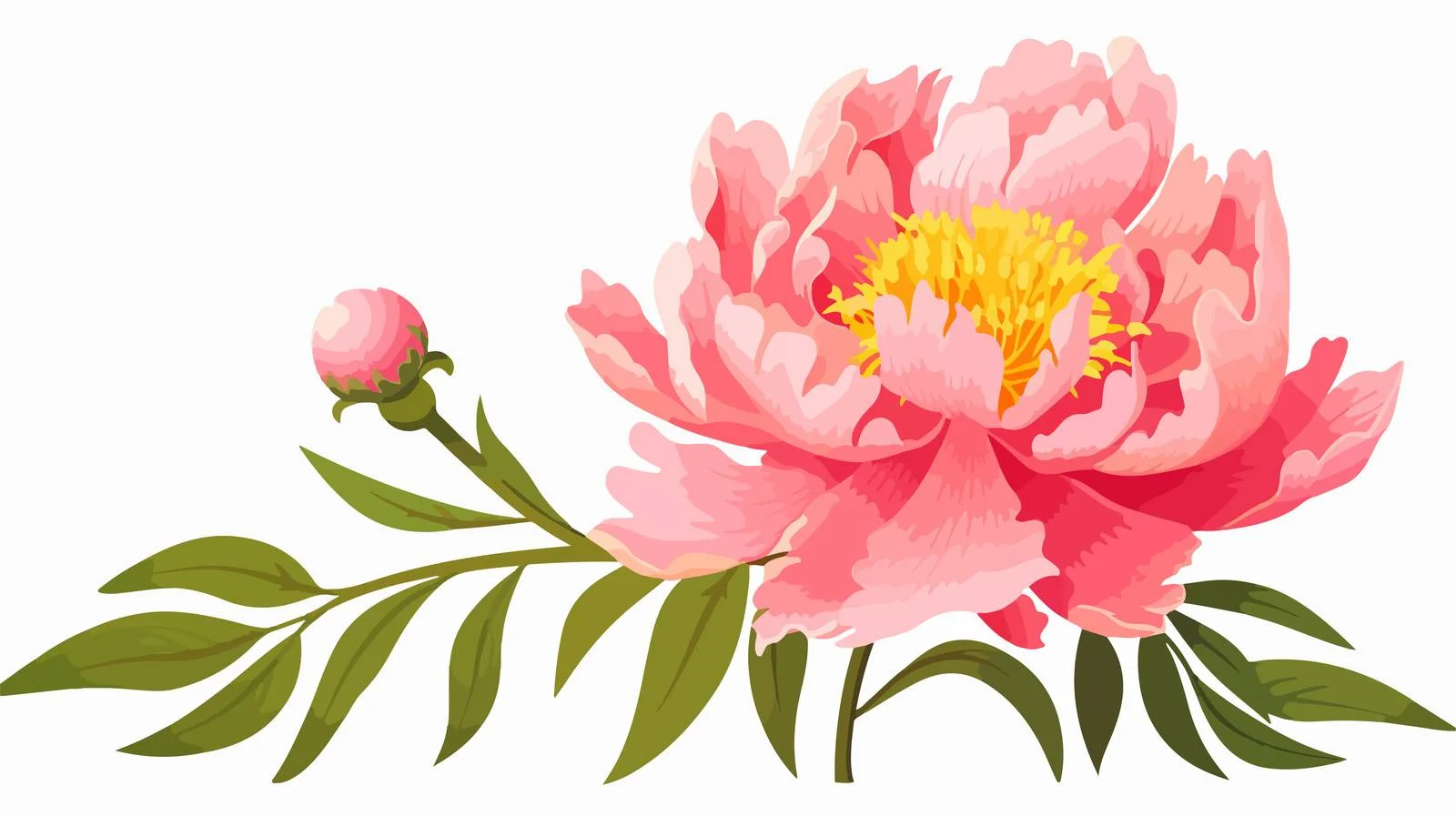 Exquisite Pink Japanese Peony on White Background — free download from Dotvec
