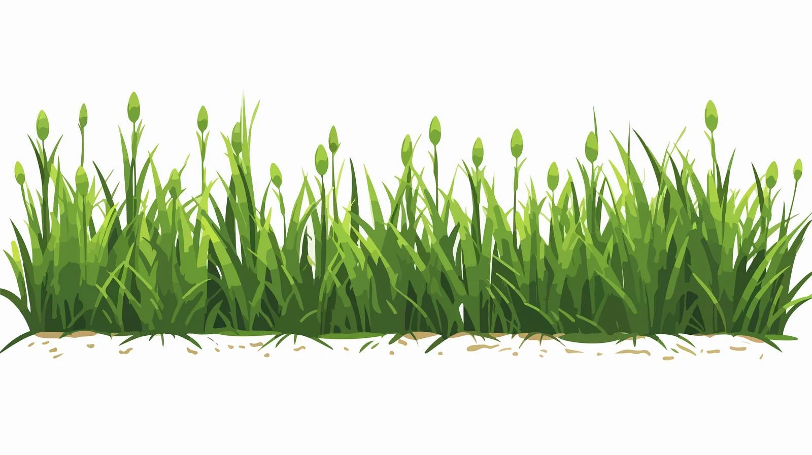 Green Grass Rows Arrangement Pattern — free download from Dotvec