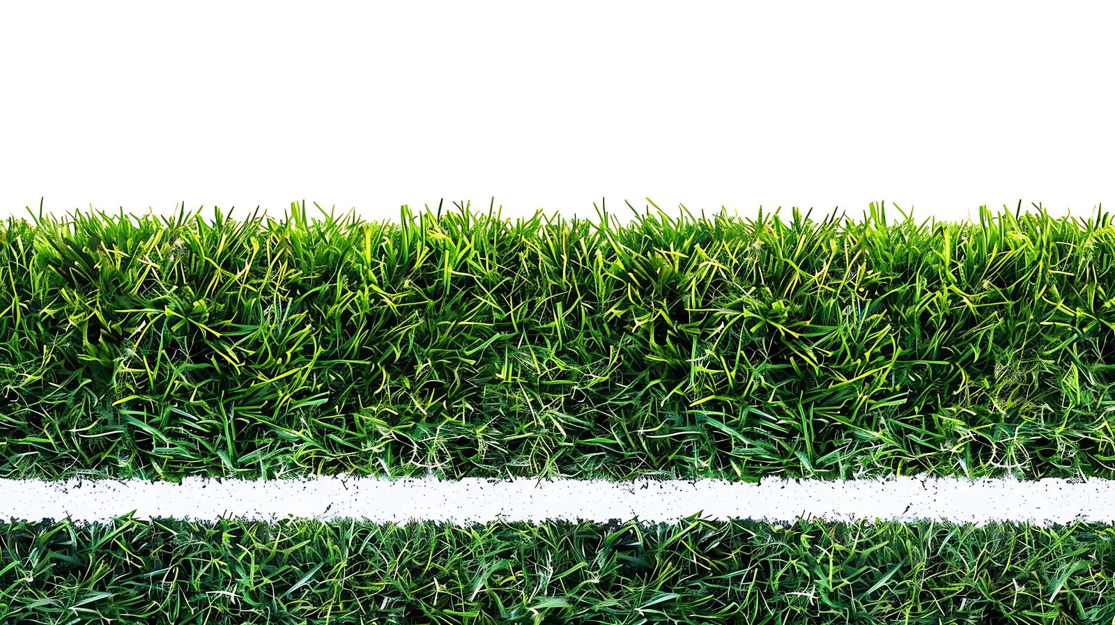 Lush Sports Field with White Markings — free download from Dotvec