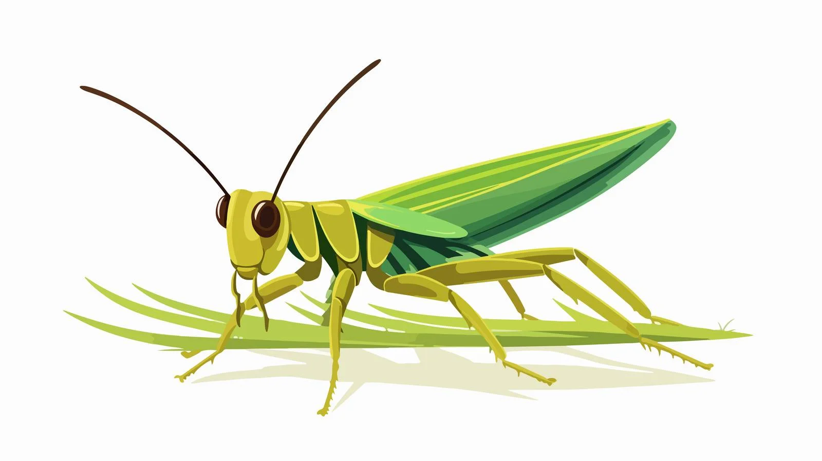Graceful Grasshopper with Elongated Limbs — free download from Dotvec
