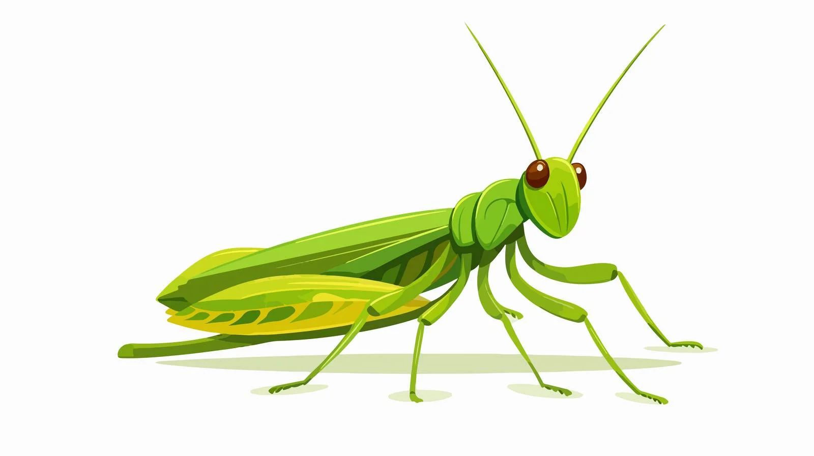 Adorable Grasshopper with Elongated Legs and Antennae — free download from Dotvec