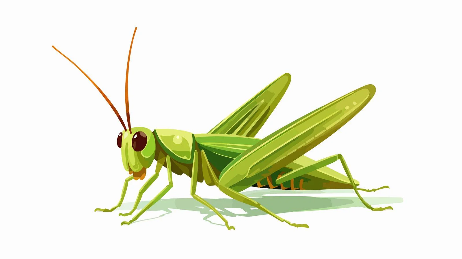 Delicate Grasshopper with Elongated Limbs — free download from Dotvec
