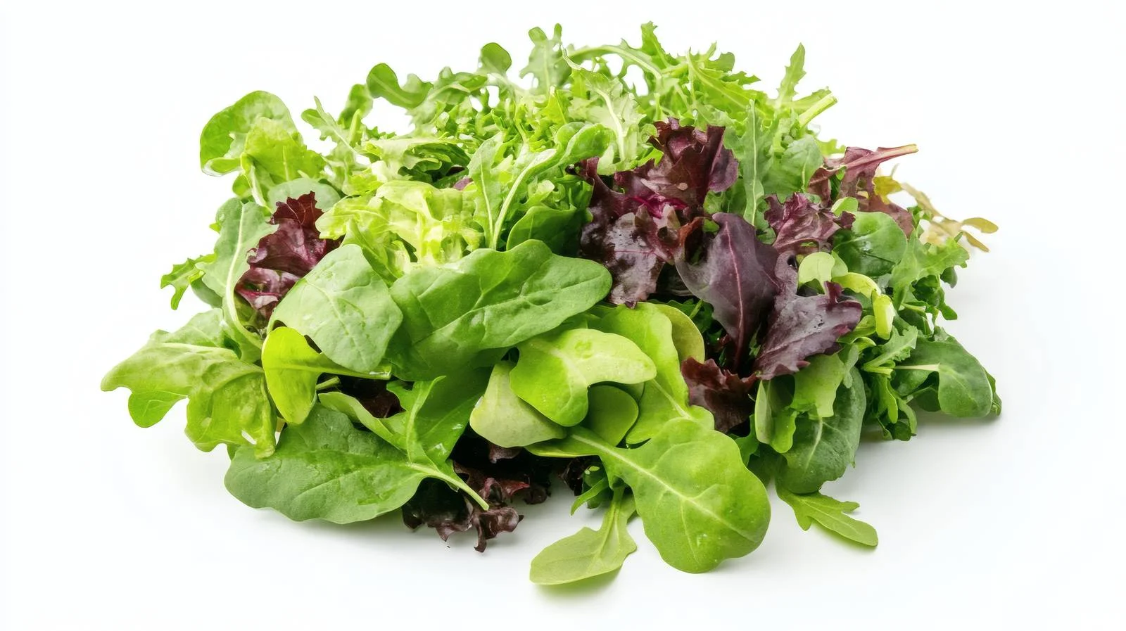 Fresh Green Salad Blend on White — free download from Dotvec