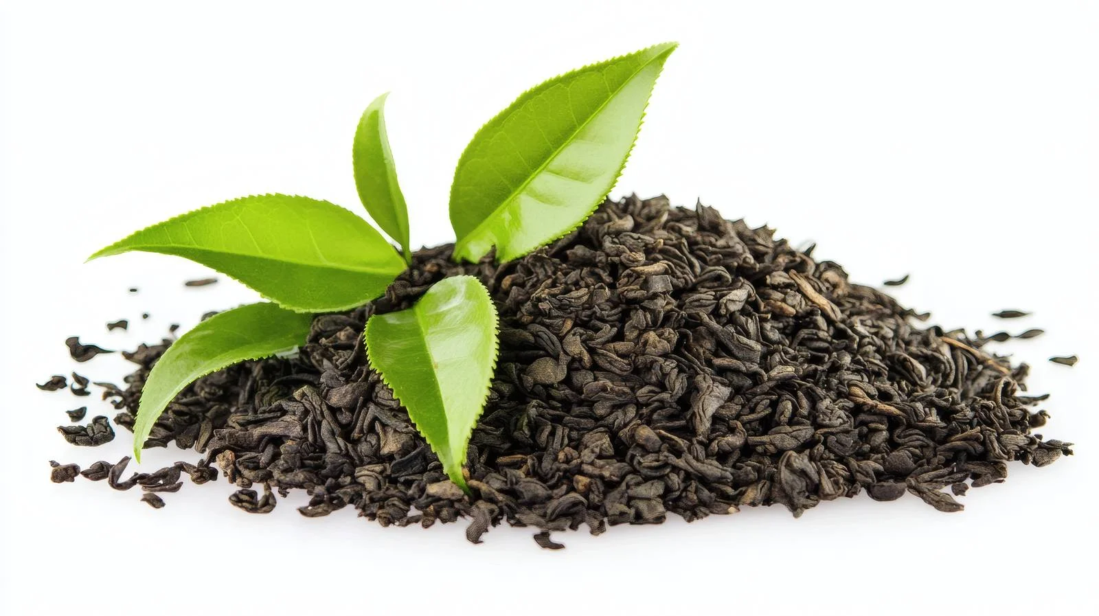 Elegant Green Tea Arrangement on White — free download from Dotvec